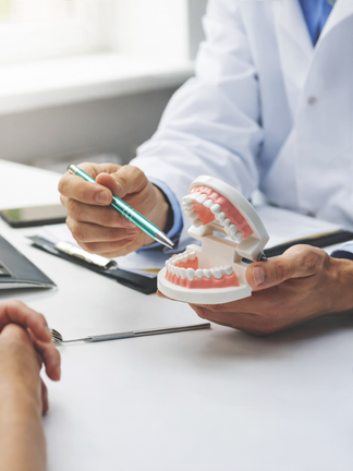 Dentist explaining a dental treatment plan to a patient using a dental model during a professional clinic consultation.